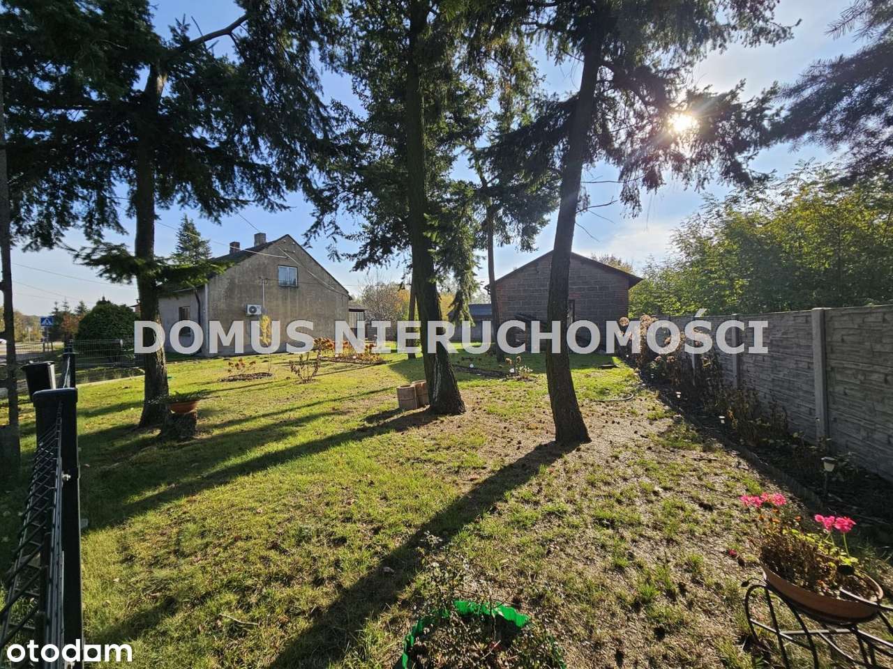 Klimatyczne siedlisko-13