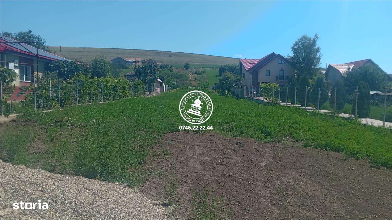 Teren intravilan 4500 mp Bogonos , 2 cai acces , toate utilitatile - Imagine principală: 4/6