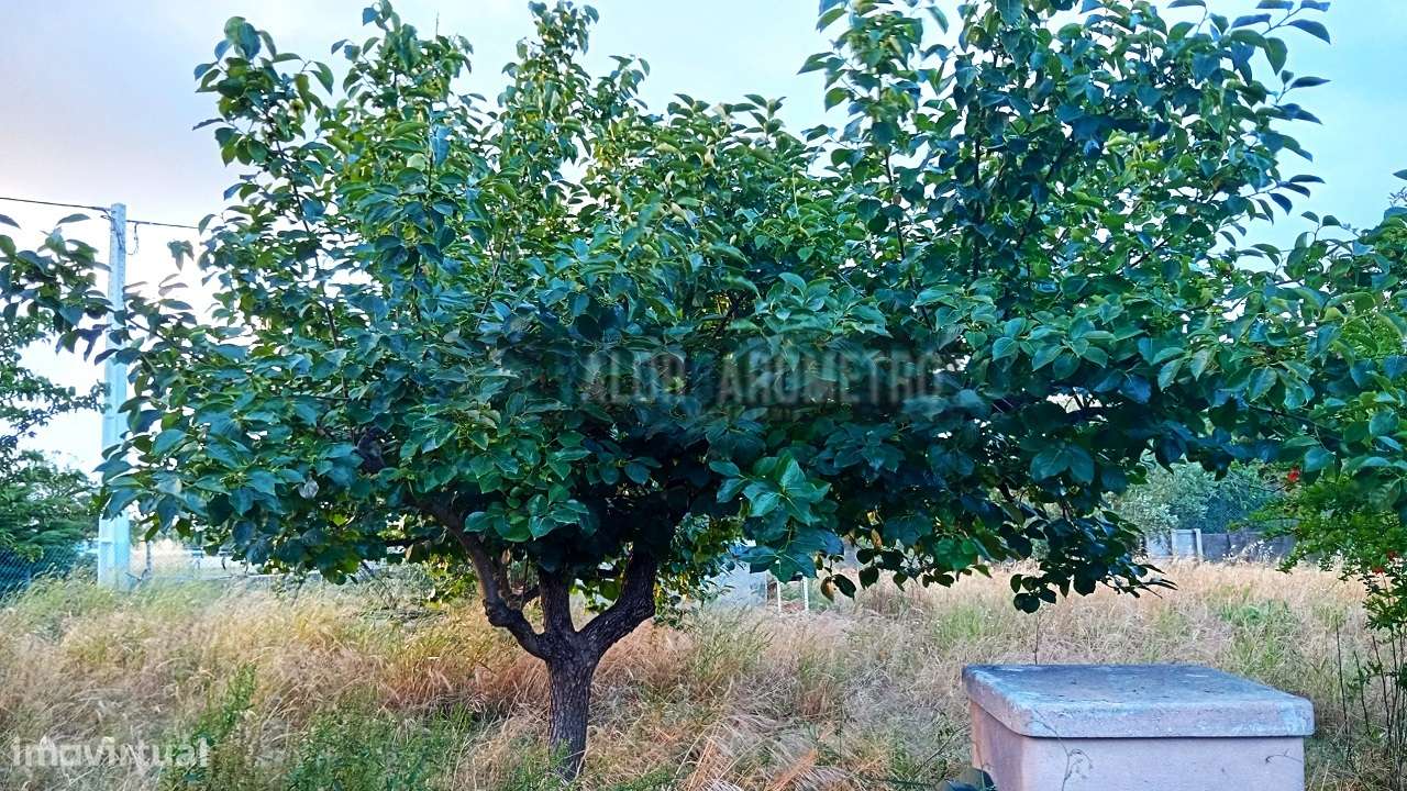 Terreno Urbano em Stº António da Charneca - Barreiro-10