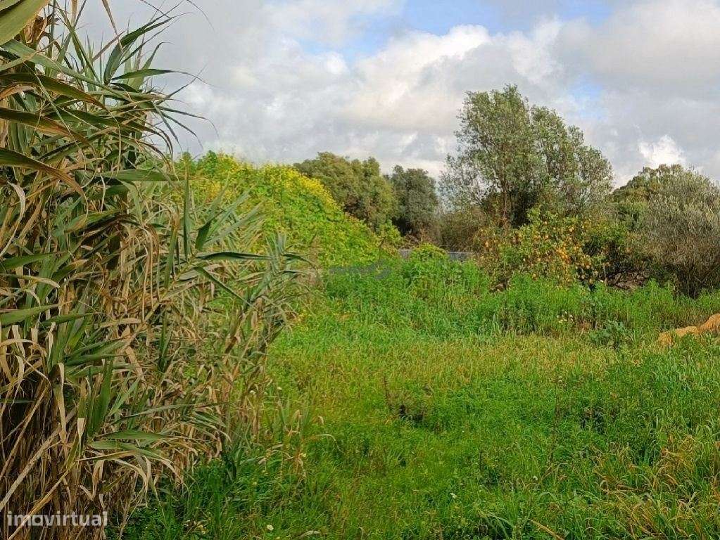 Excelente oportunidade para construção de 1 ou 2 moradias total 880... - Grande imagem: 4/20