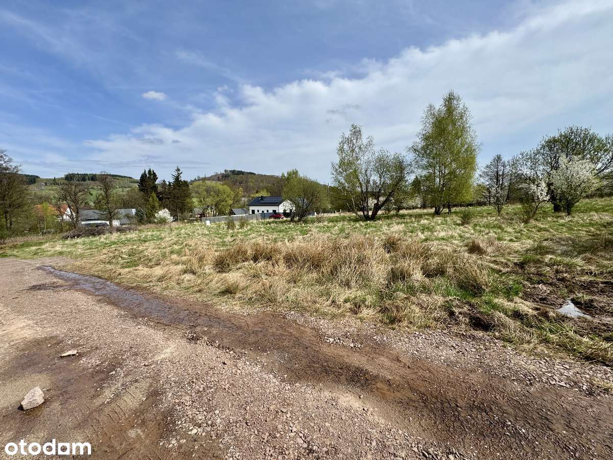 Działka w otulinie Karkonoskiego Parku Narodowego, okolice Karpacza-2