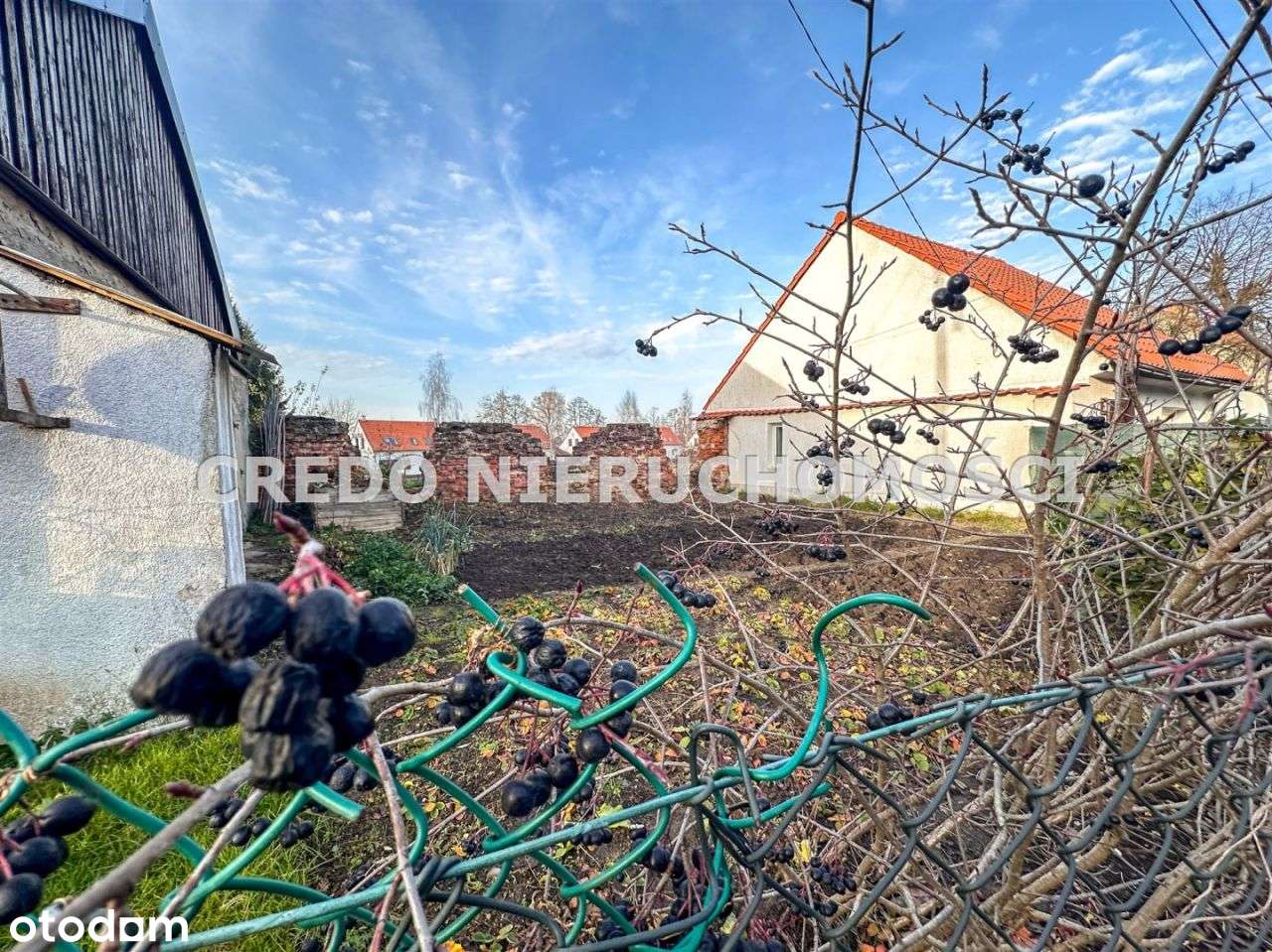 Działka W Centrum Pasymia Pod Zabudowę - Pełny obrazek: 5/12