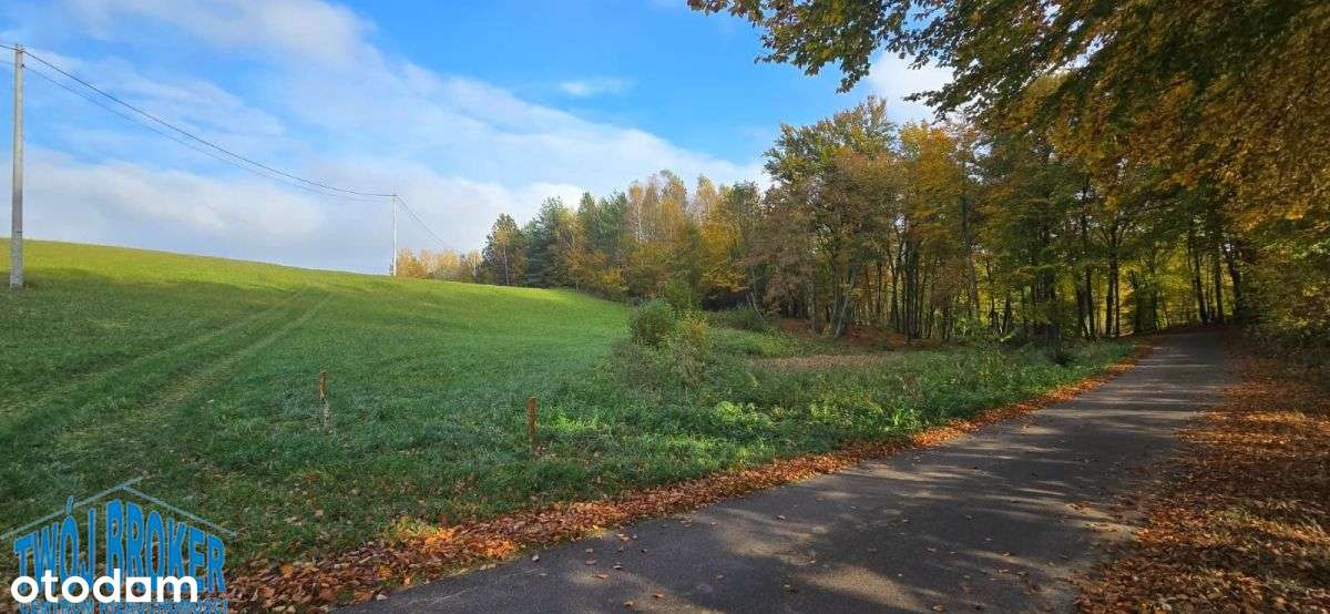 działka rezydencyjna z linią brzegową na-10