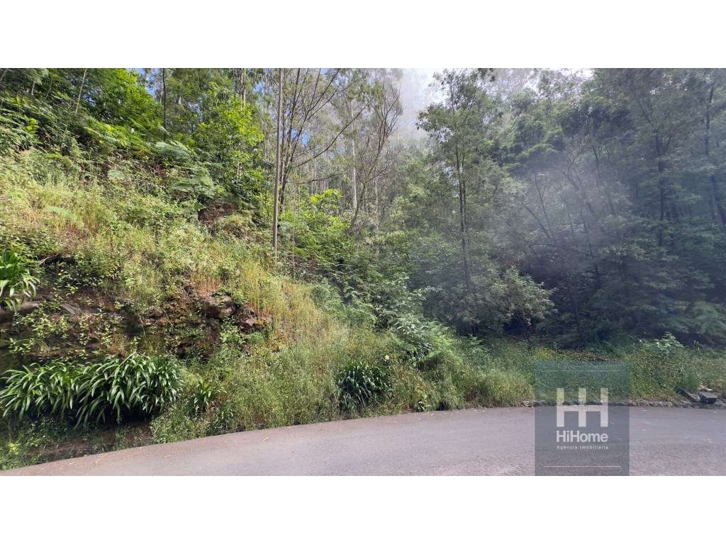Terreno rústico no Caminho dos Pretos | Funchal - Grande imagem: 4/22