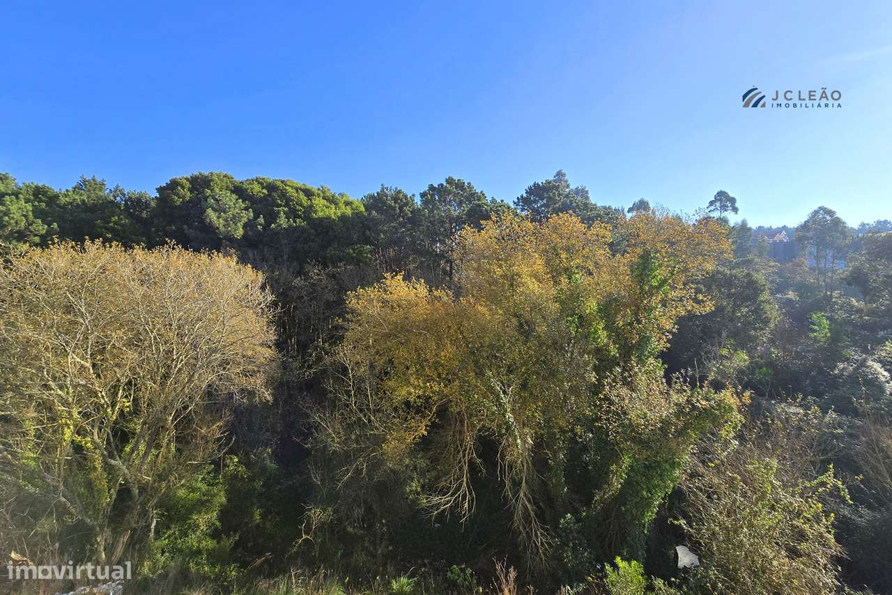 Apartamento T3 Venda em Canidelo,Vila Nova de Gaia - Grande imagem: 4/22