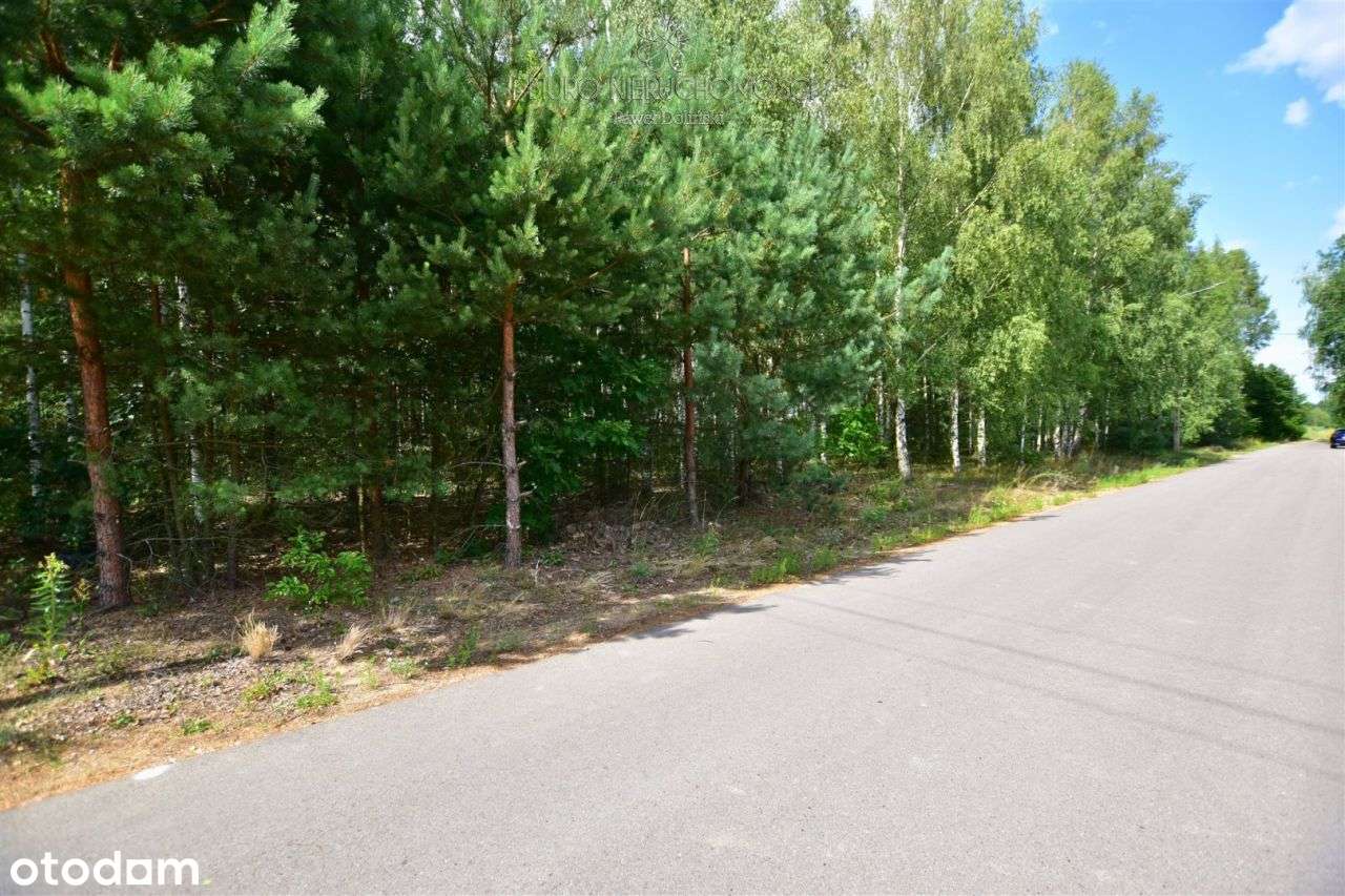 Działki rolno-budowlane 6506 m² – Grabowiec - Pełny obrazek: 5/7