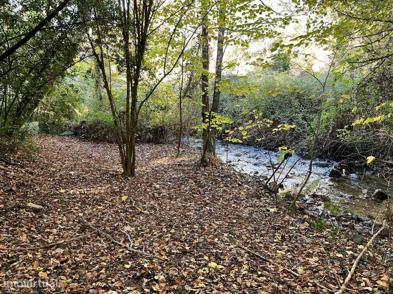 Quinta com casa para recuperar junto a ribeiro-14