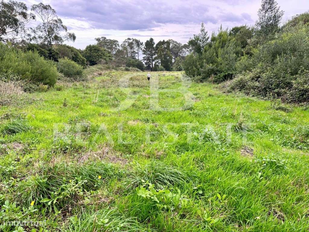 TERRENO RUSTICO 11.640m2 PENEDO, COLARES, SINTRA - Grande imagem: 5/16