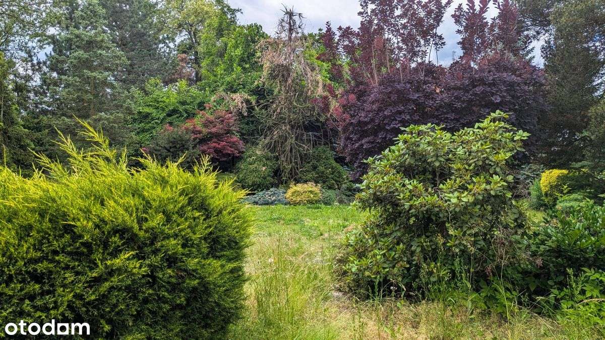 Dom z dużym ogrodem – Gliwice Brzezinka-10