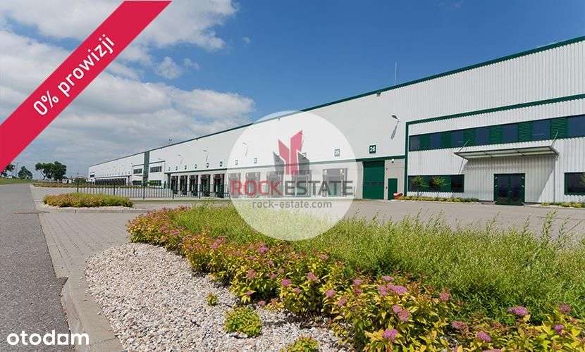 Kopytów Błonie magazyn wynajmę od zaraz 4tys m2