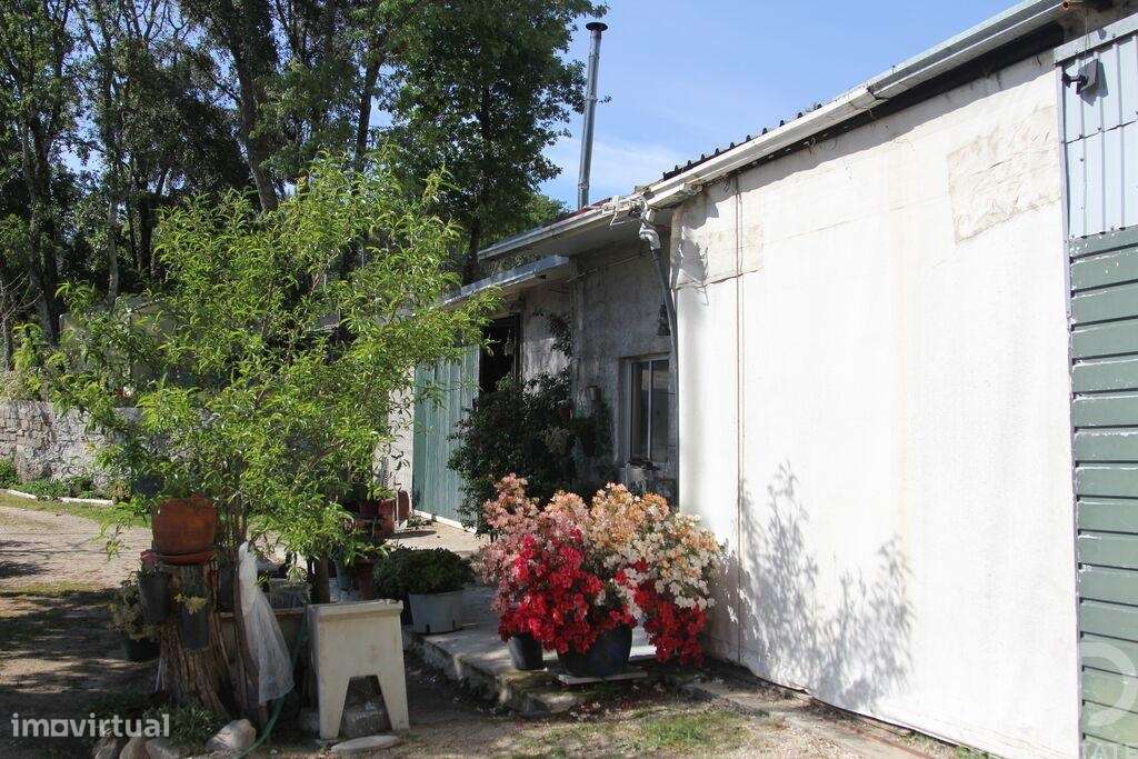 Terreno Agrícola em Oliveira do Hospital e São Paio de Gramaços-33