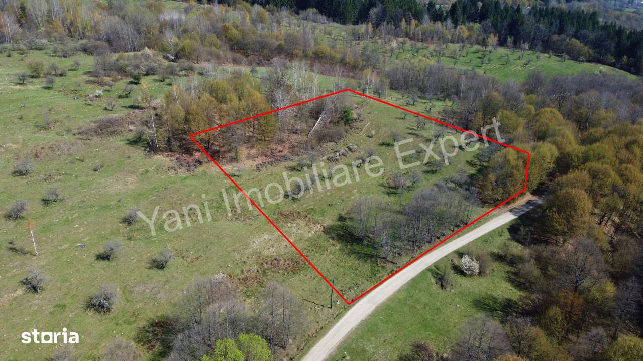 Teren de vânzare în Curtea de Argeș - Imagine principală: 2/17