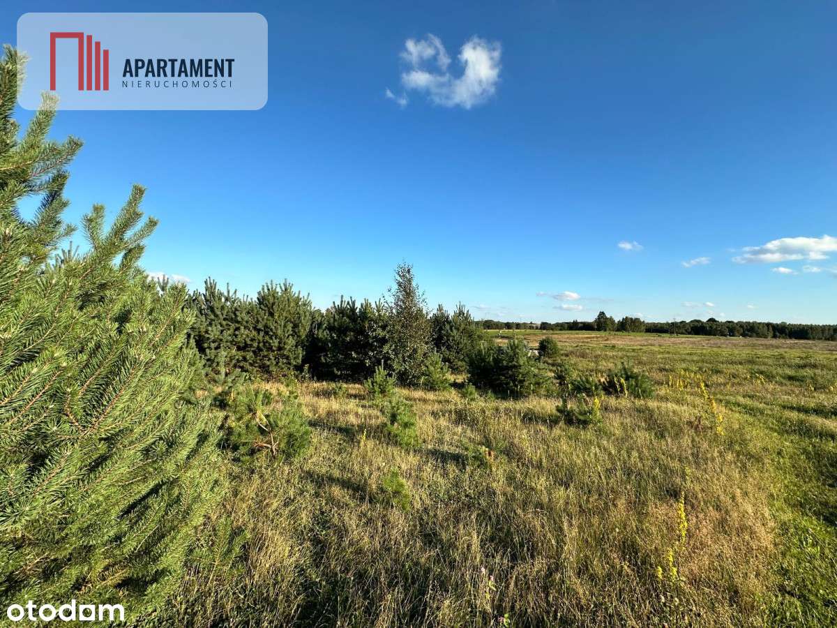 Szatarpy-spokojna okolica, zieleń i natura. - Pełny obrazek: 5/9