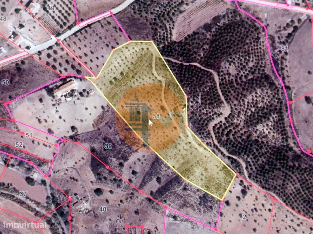 TERRENO COM 26.120 M2 - POSSIBILIDADE DE CONSTRUIR UM ARMAZÉM - RIO... - Grande imagem: 2/31