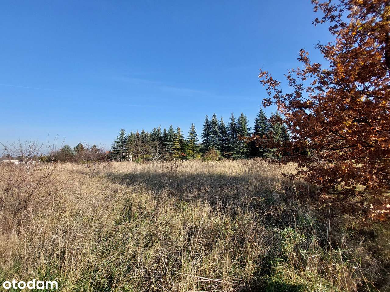 Wymiarowa działka budowlana, dobra lokalizacja, zabudowa jednorodzinna - Pełny obrazek: 5/5