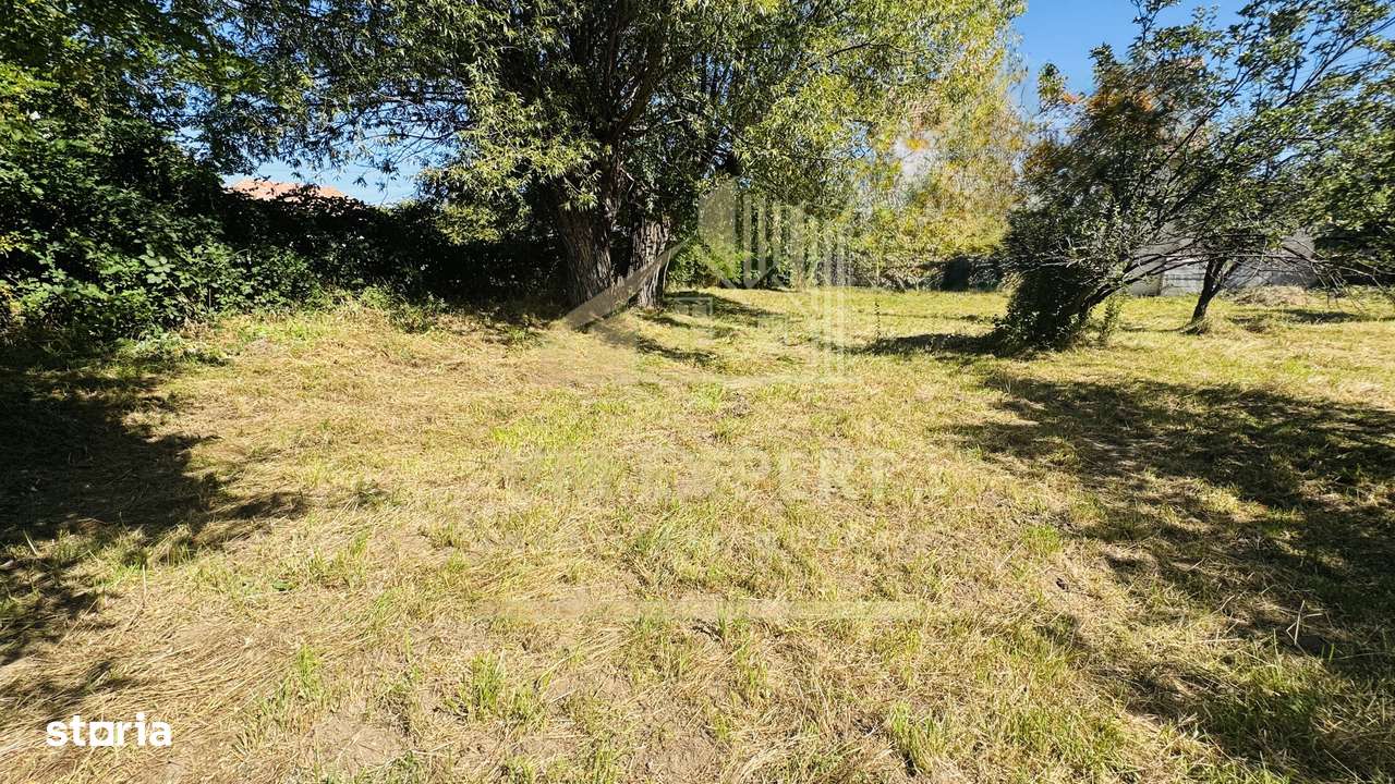 TEREN INTRAVILAN 3234 MP LEREȘTI VOINEȘTI ARGEȘ-13