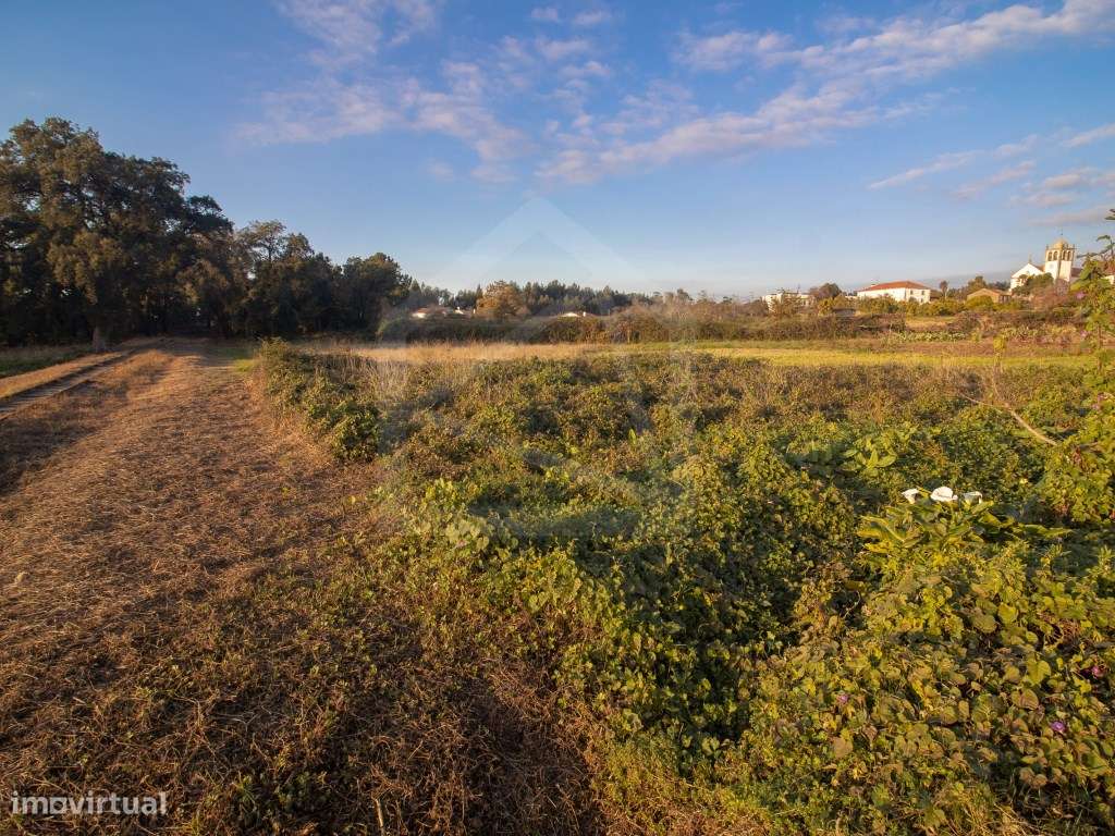 Terreno Rústico - Urbanizável - Grande imagem: 4/9