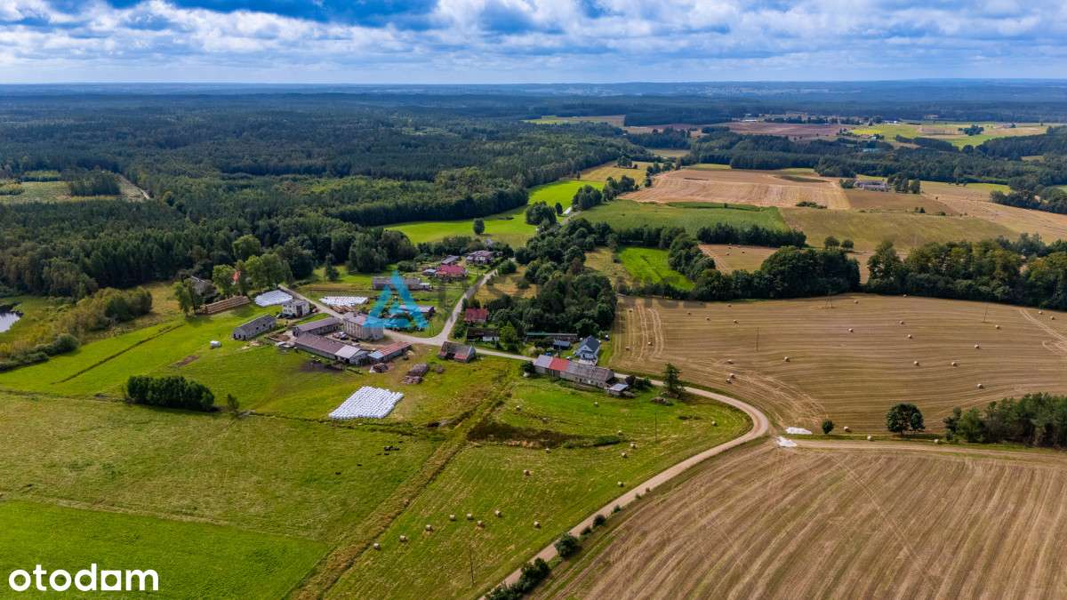 Działka na wsi? Sprawdź perełkę w pięknej okolicy - Pełny obrazek: 5/20
