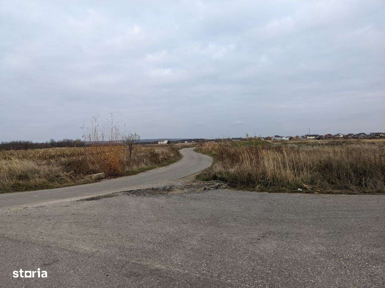Teren 1000 mp deschidere 40 ml la asfalt ,Albota Morlovani zona vile,-0