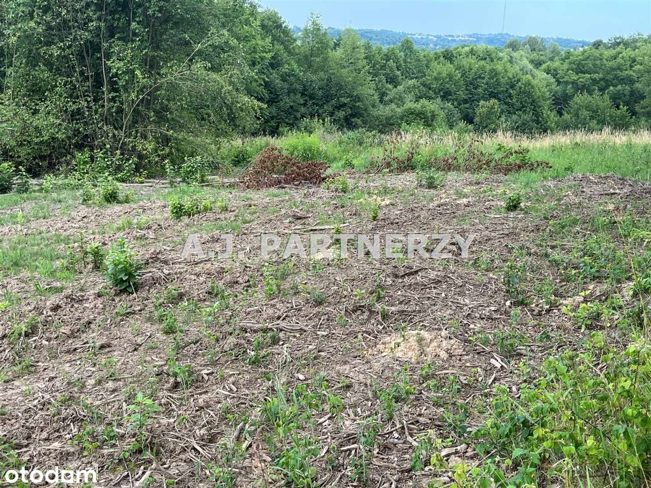 Działka budowlana z mediami w Golkowicach-2