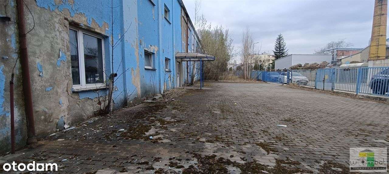 Lokal użytkowy, 1 152 m², Strzegom - Pełny obrazek: 4/13