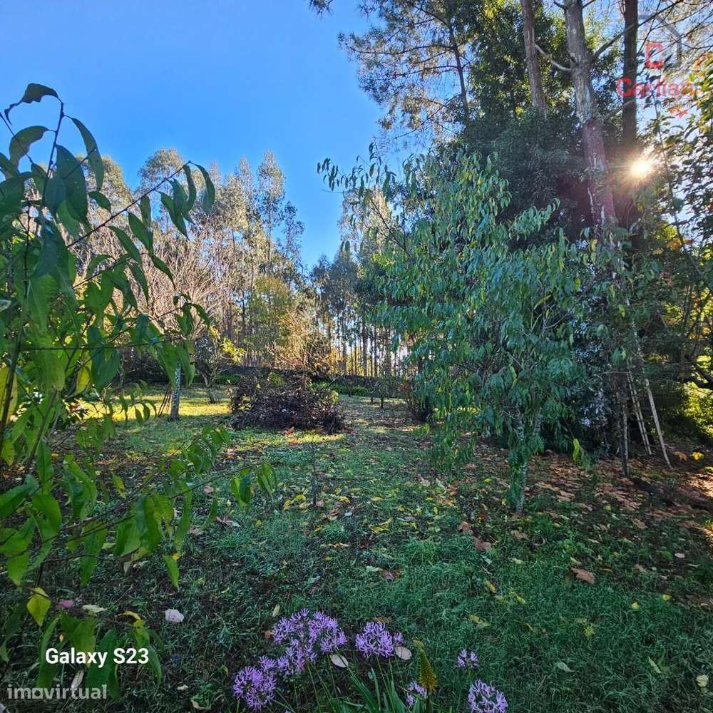 MORADIA T5 NOS CARVALHOS-22