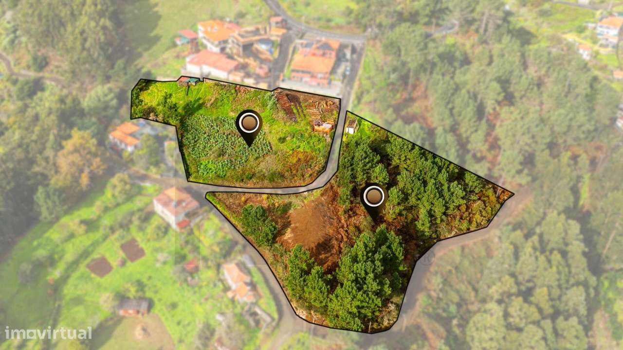 Terreno para Venda | Camacha | 7.010 m2 - Grande imagem: 5/16