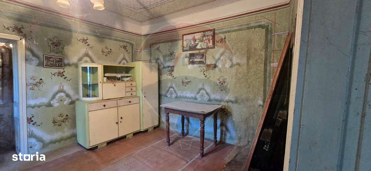 Teren si casă cu teren generos în Socodor - Imagine principală: 5/20