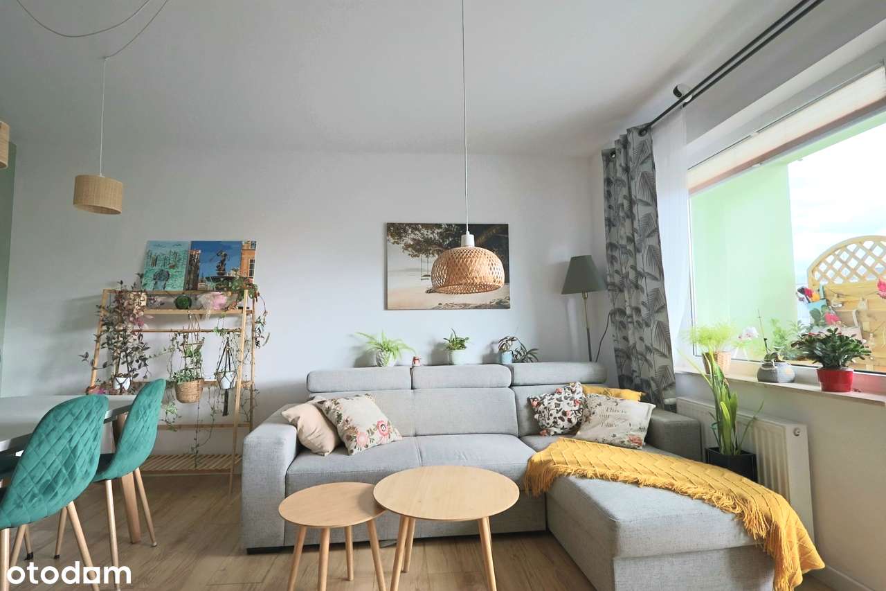 po remoncie|do wejścia|wszystko pod ręką|słoneczne|cicha okolica|PKM - Pełny obrazek: 4/13