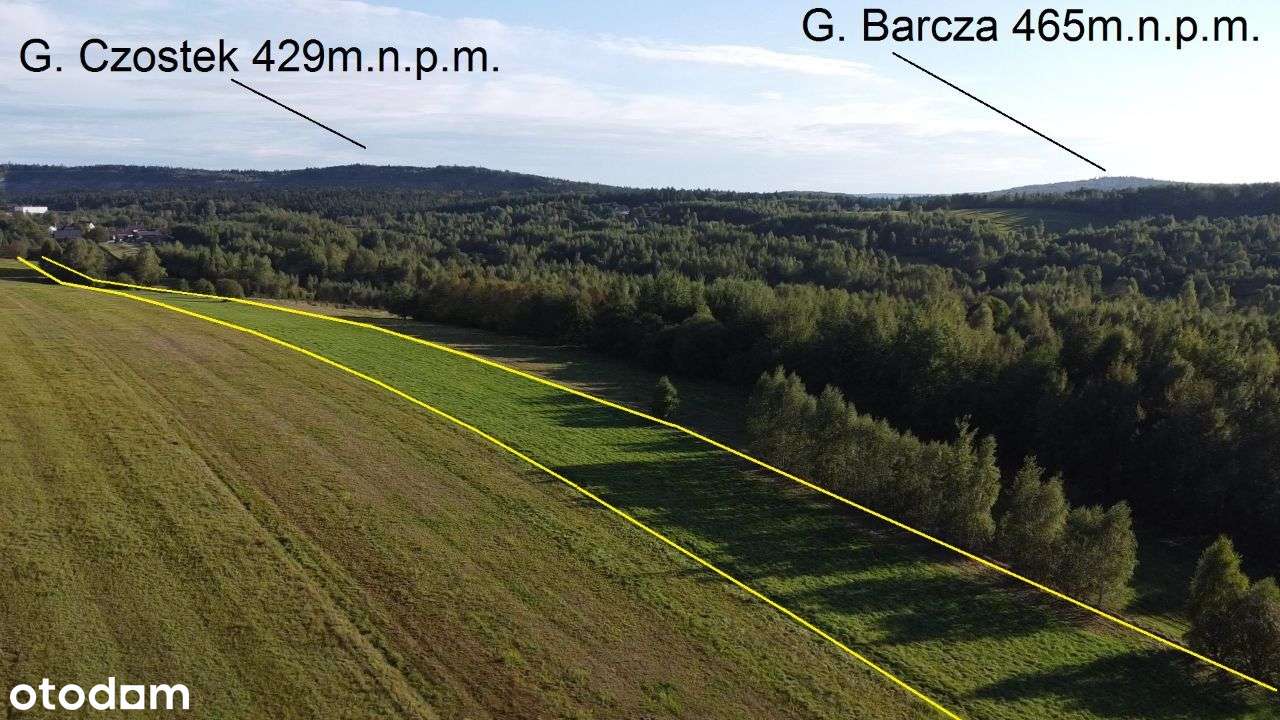 działka rol-bud WIDOKOWA z trawy na LAS - Pełny obrazek: 5/20