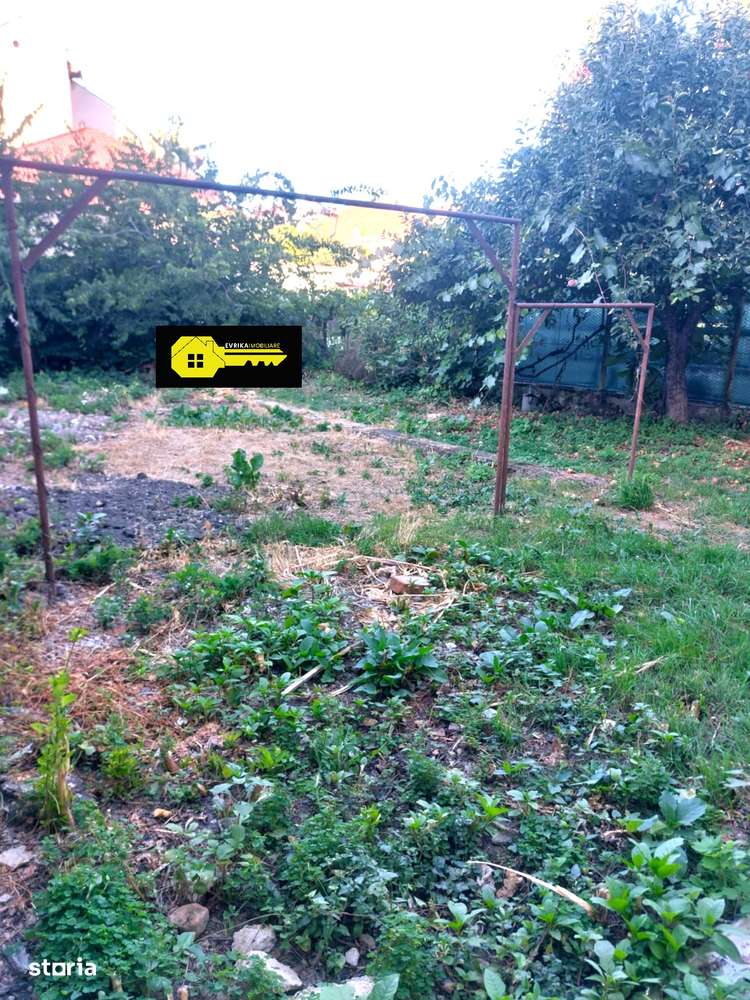 Ultracentral, proprietate cu 2 apartamente si teren 425 mp-8