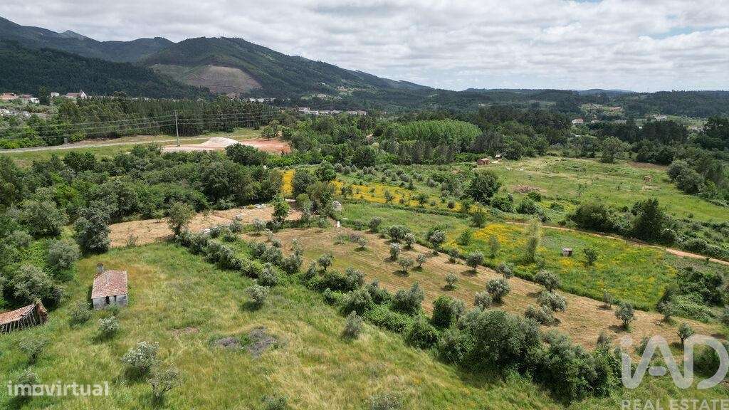 Terreno Agrícola em Espinhal - Grande imagem: 4/24