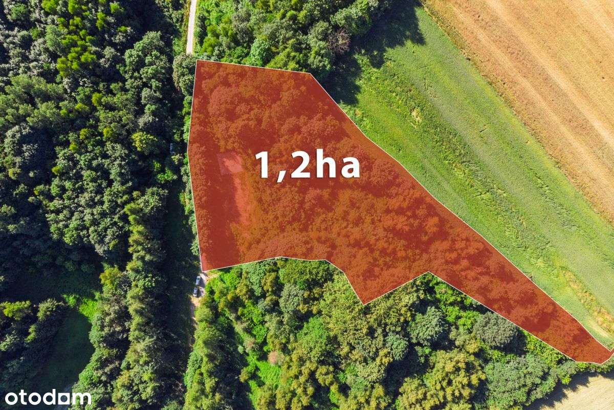 Malownicza duża działka z PnB-4