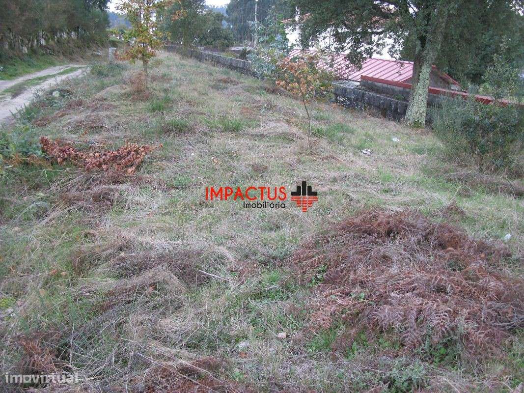 Terreno em Monte Córdova - Grande imagem: 5/11