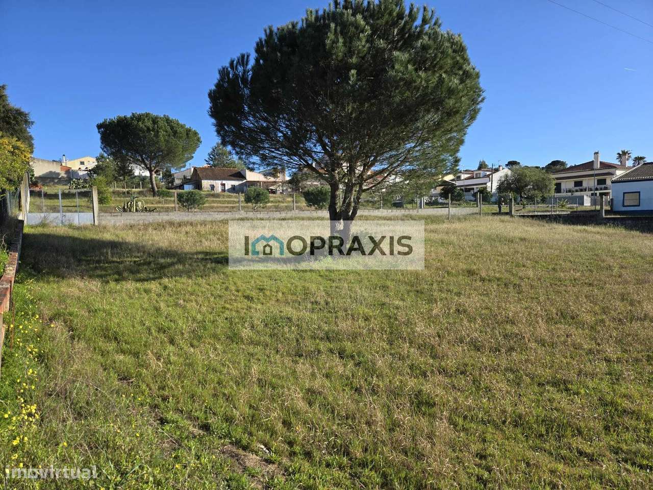 Lote Urbano situado na Carregueira – Chamusca- Santarém - Grande imagem: 2/5