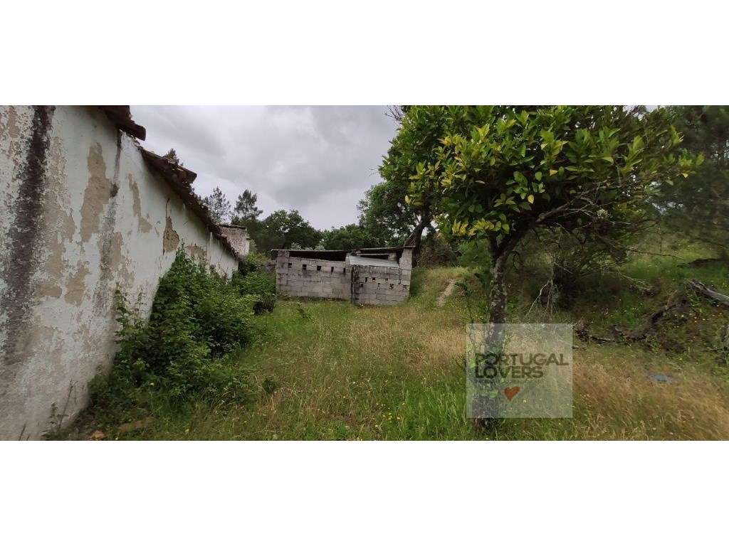 Quinta com várias construções terreno 2874 m2 Galveias (Ponte de Sor)-24