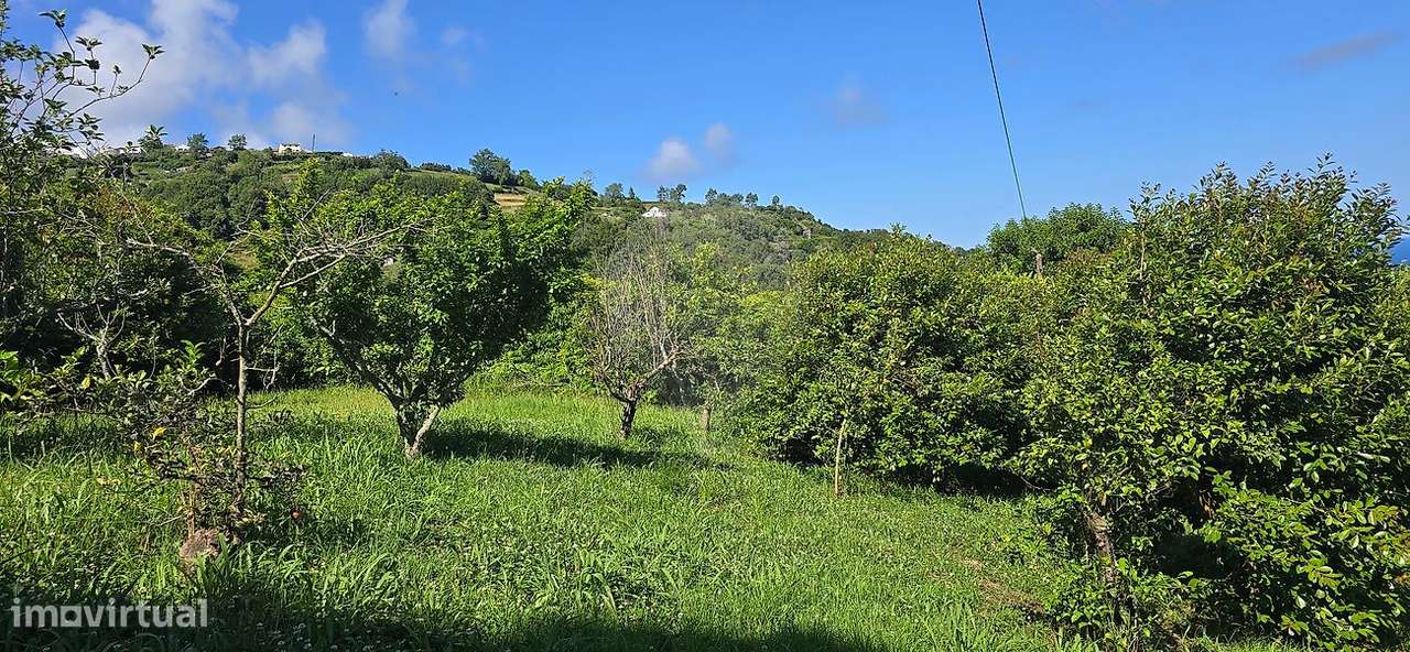 Moradia T3 para venda-25