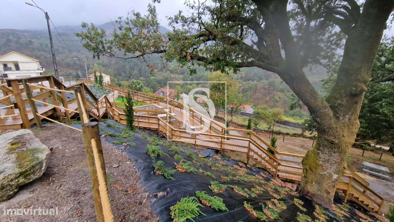 Vivenda de campo e vários terrenos para venda em Zebral, Vieira do Min-18