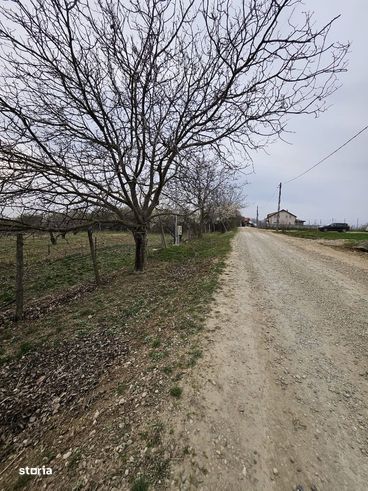 De vanzare teren intravilan, situat pe str. Piersicilor Oradea-2