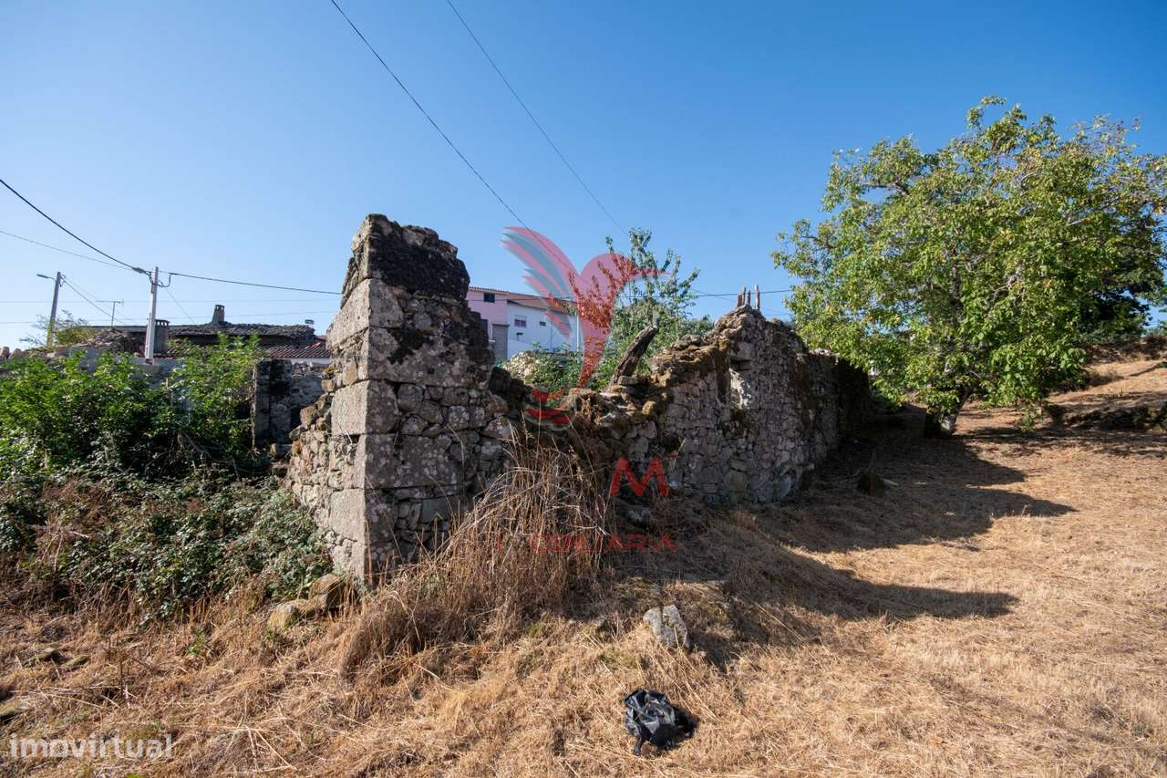 "Terreno com Ruína em Courelas, Trancoso " - Grande imagem: 5/12