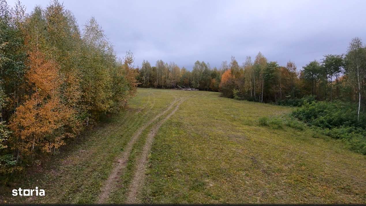 Teren cu energie specială/Fagaras/Plata in max 3 rate-10