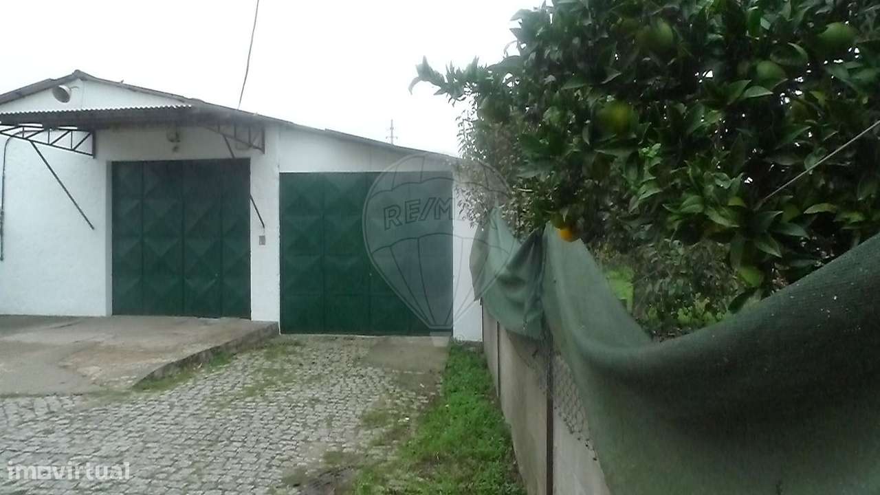 Armazém  para venda-2
