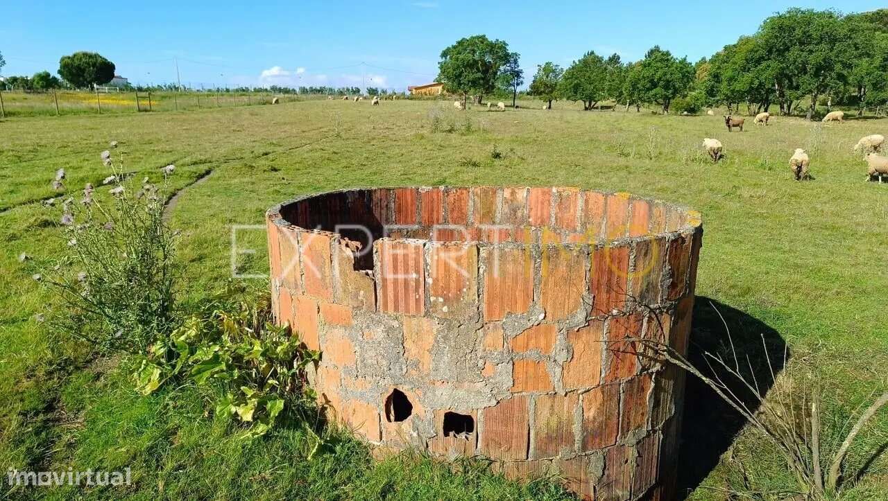 Terreno rústico em Carrapatal Canha - Montijo - Grande imagem: 5/8