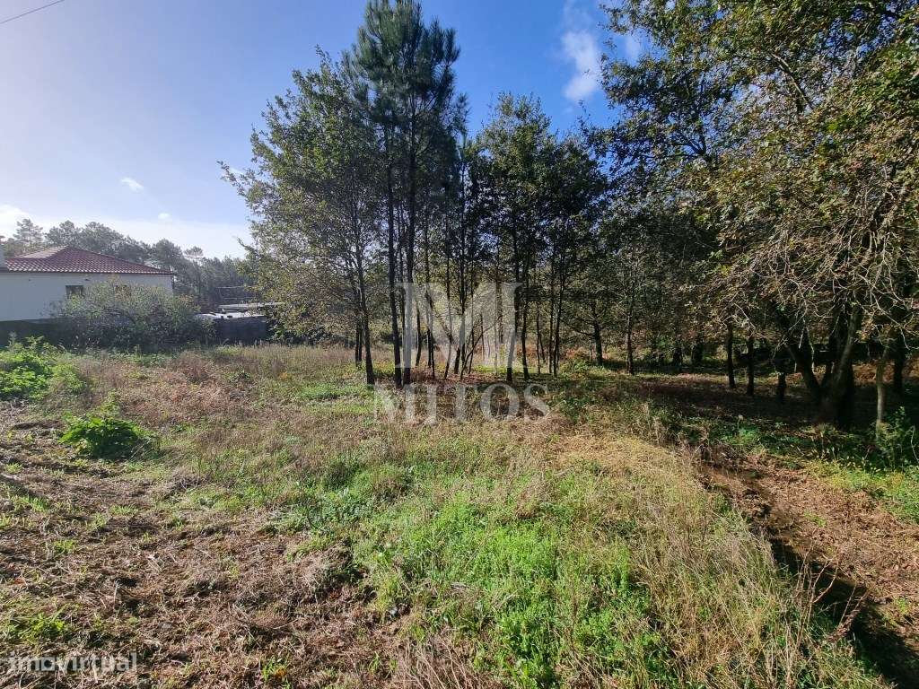 Terreno para construção - Nogueira - Grande imagem: 2/10