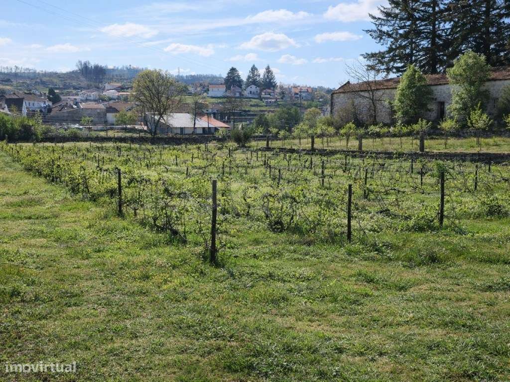 ATIVO TURÍSTICO + QUINTA DE EXCEÇÃO NA BEIRA ALTA-32