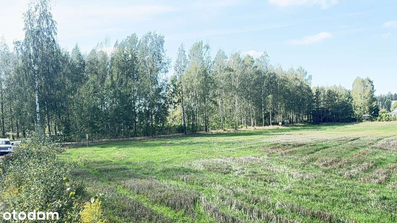 7 400 m² w sercu Podlasia – Twoja część natury w Dubinach! - Pełny obrazek: 4/10