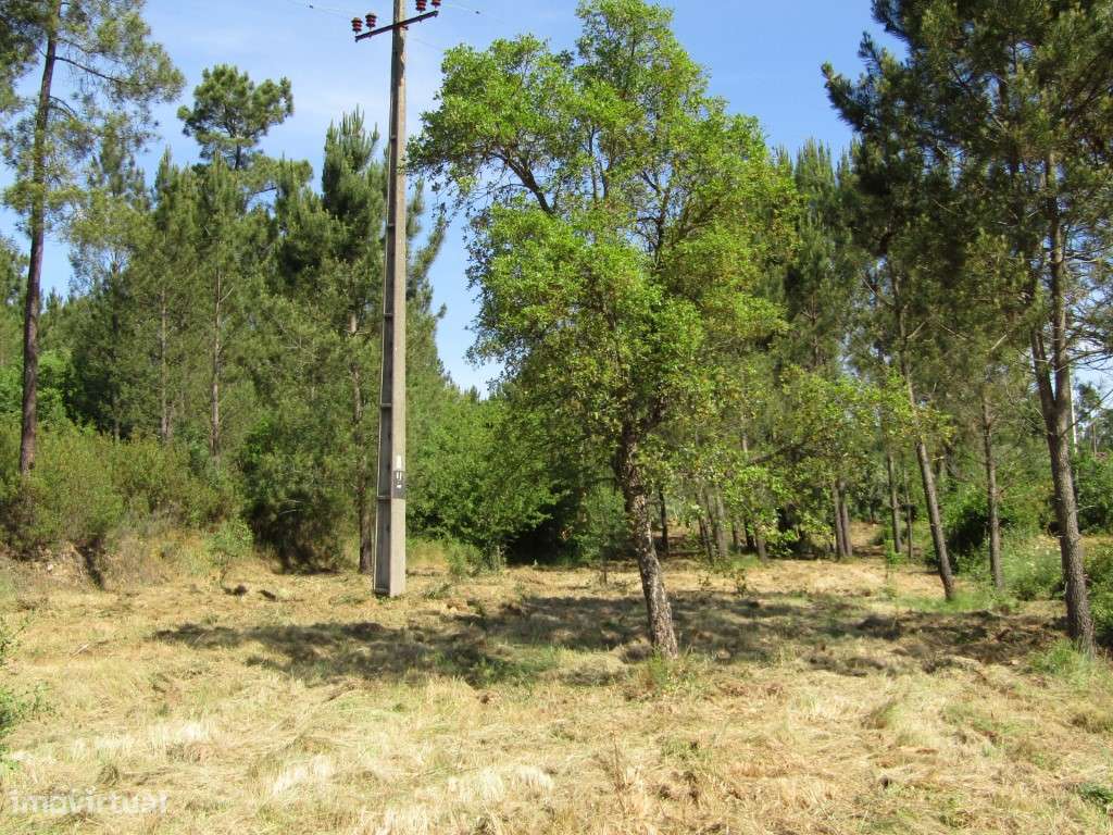 P26-238 Casal da Loba - Terreno Urbanizável no Centro de Portugal e...-24