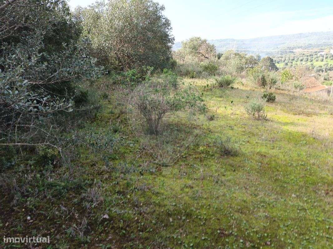 Moradia T3 para venda - Grande imagem: 5/13