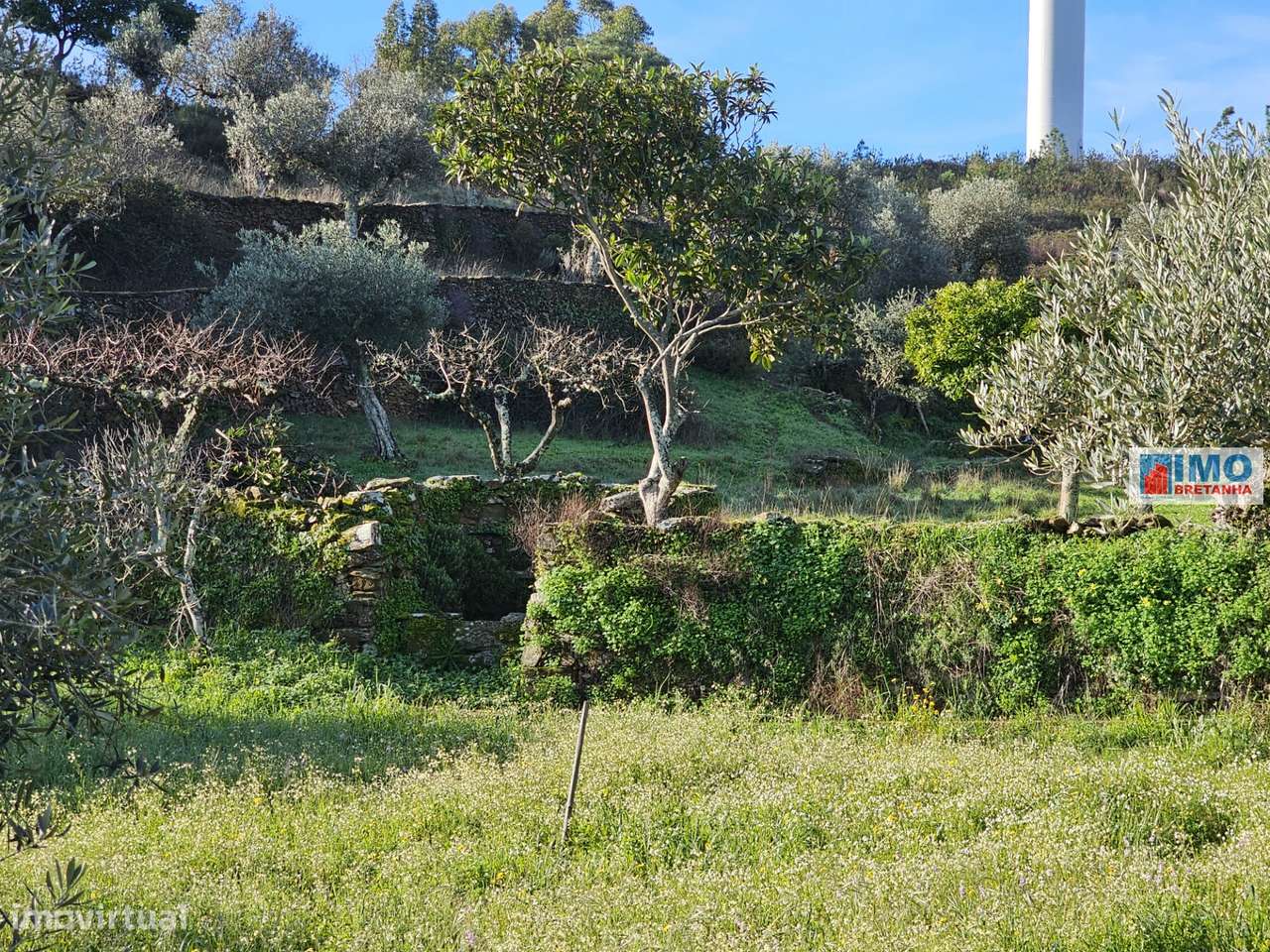 Quinta c/ 3.500m2 -  Cebolais de Cima-Retaxo - Grande imagem: 4/14