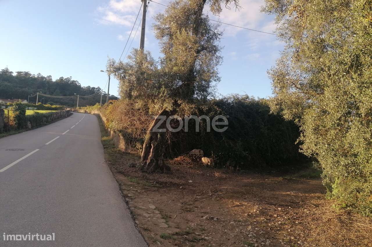 Terreno agrícola com 6.650 M2 em Minhotães-Barcelos - Grande imagem: 2/14
